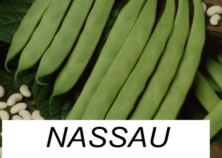 NASSAU